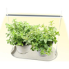Light Beam 10inch/25cm LED Mini Housetable Plant Light 1 Head with Tray