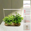 Light Beam 10inch/25cm LED Mini Housetable Plant Light 1 Head with Tray
