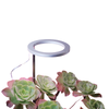 Wholesale Bloom Indoor Plant Seedlings Home Flower Lamp Ring Led Grow Light