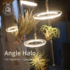 Angel Three Rings Grow Light Dc5v Usb Phytolamp Led Full Spectrum Lamp For Indoor Plant Seedlings Home Flower Succulet